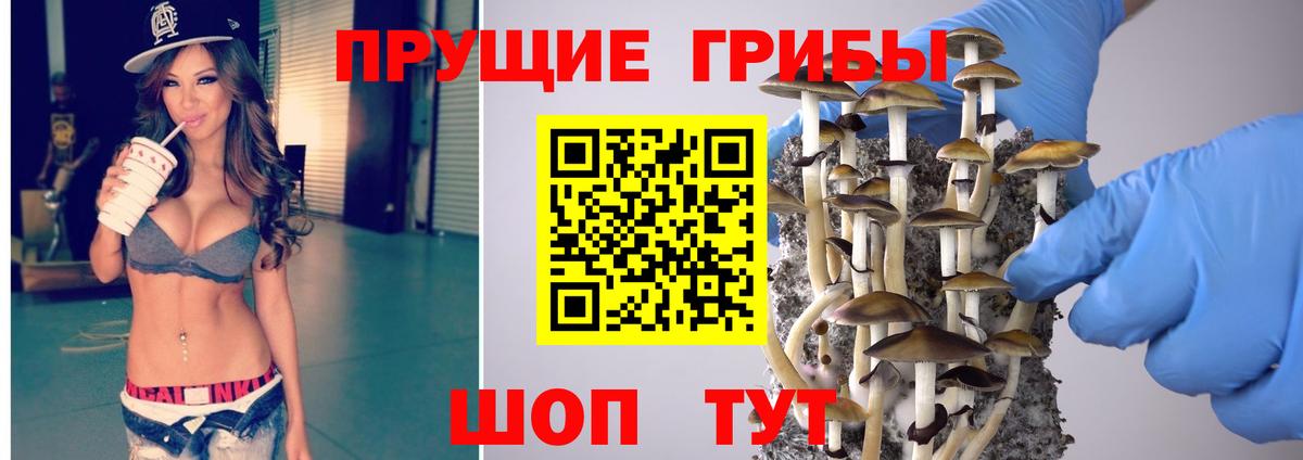 Ростов-на-Дону  Галлюциногенные грибы Psilocybe  закладка  Вход с VPN 